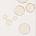 Chamomile Dry Body Oil